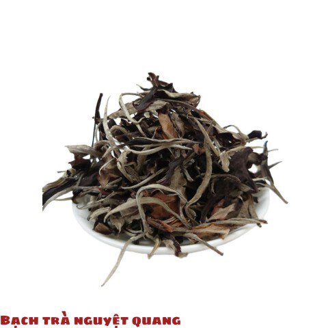 Bạch trà Nguyệt Quang B - Trà Shan Tuyết Cổ Thụ 1 búp 2 lá Thượng Sơn (Hà Giang )